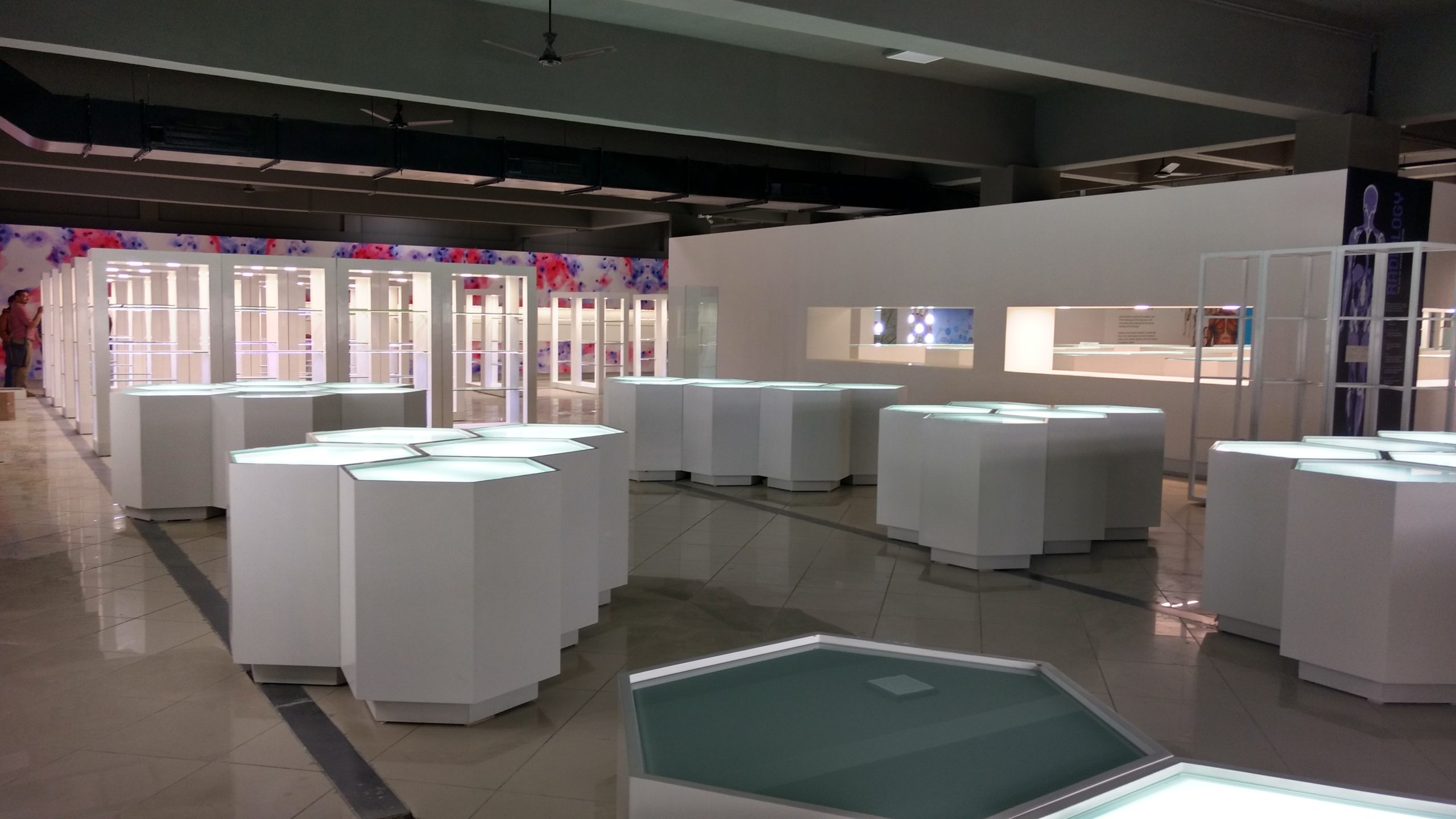 IMG_20160629_162017239_HDR